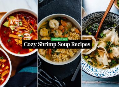 Cozy Shrimp Soup Recipes