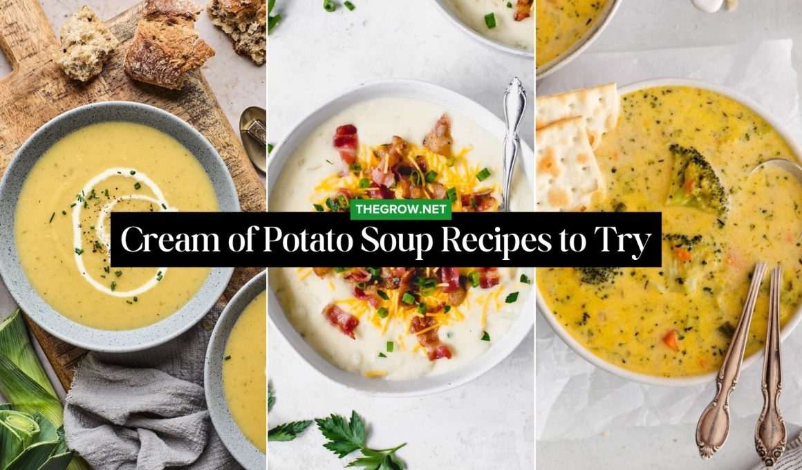Cream of Potato Soup Recipes to Try