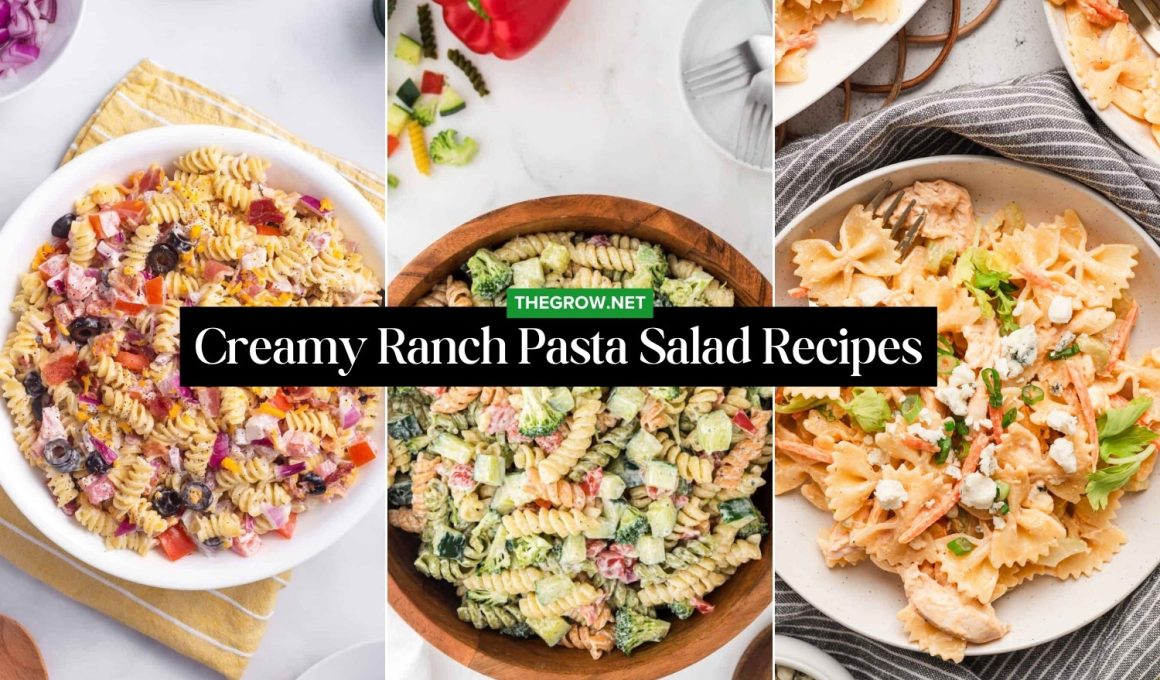 Creamy Ranch Pasta Salad Recipes