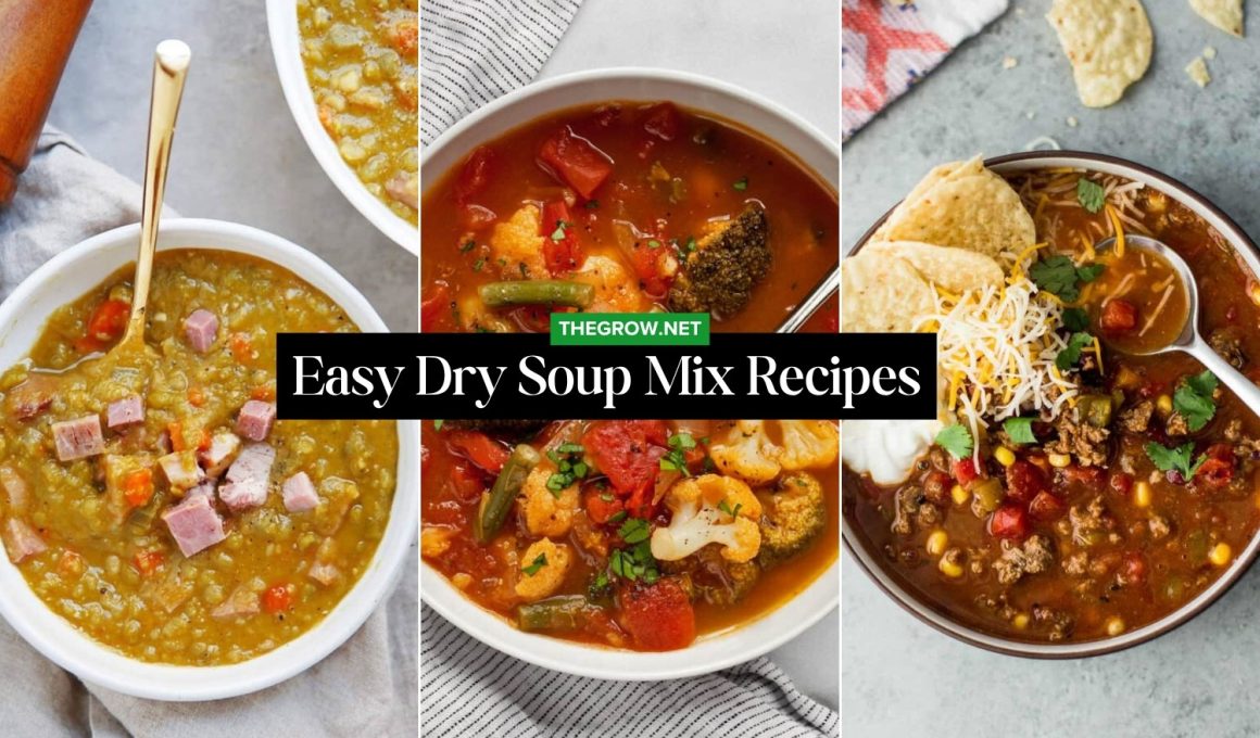 Easy Dry Soup Mix Recipes