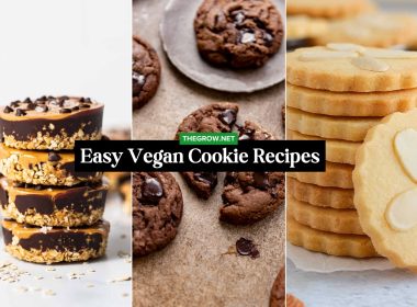 Easy Vegan Cookie Recipes for Baking Days