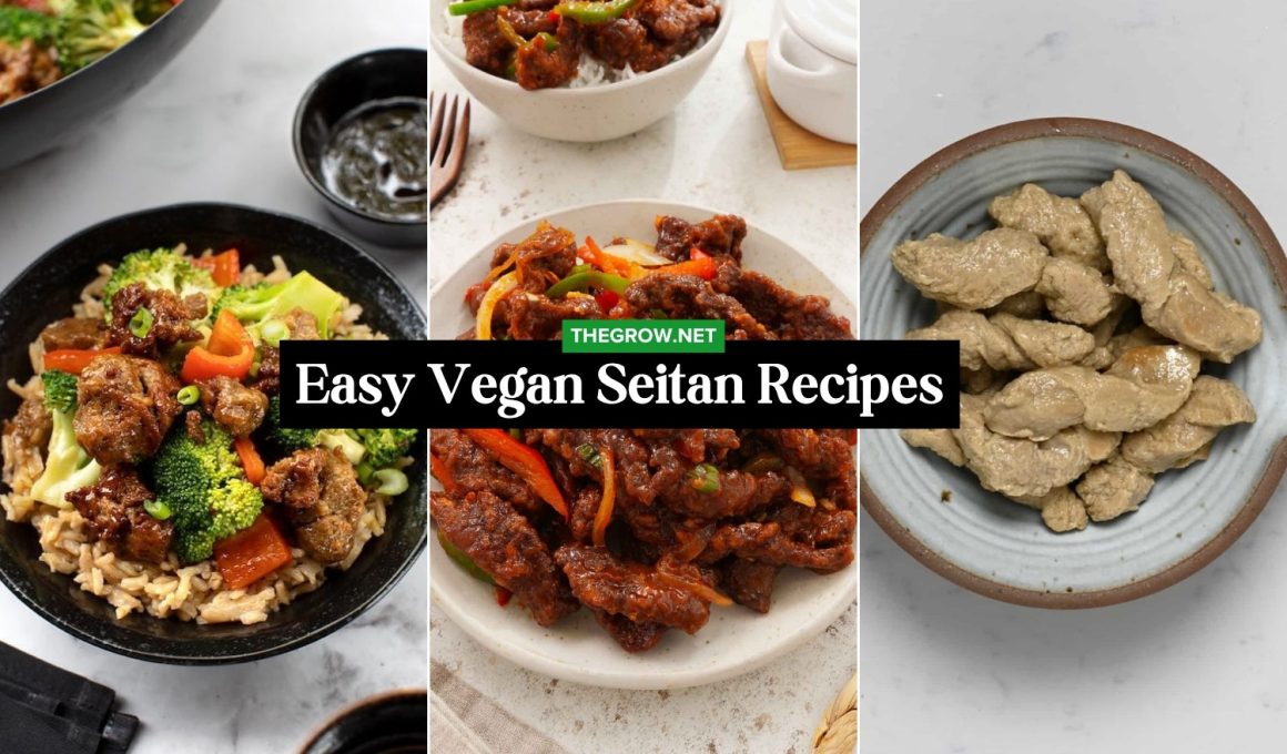 Easy Vegan Seitan Recipes