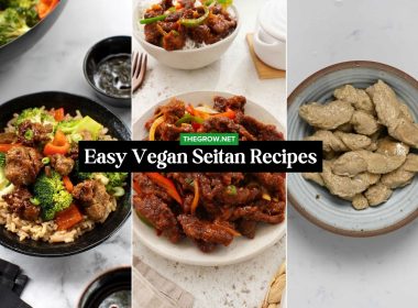 Easy Vegan Seitan Recipes