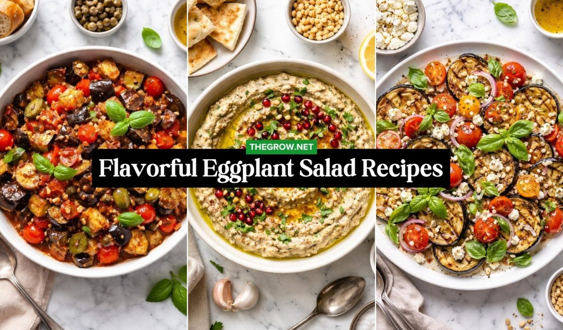 Flavorful Eggplant Salad Recipes