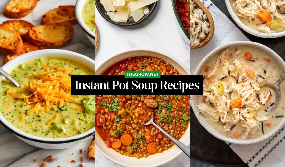 Instant Pot Soup Recipes
