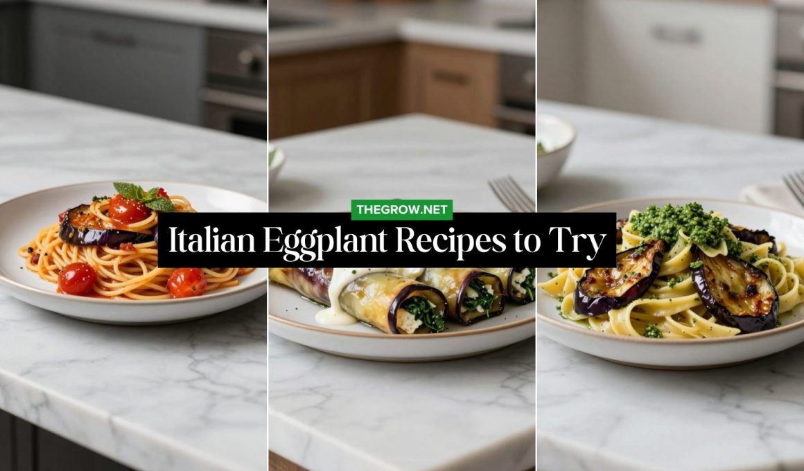 Italian Eggplant Recipes to Try