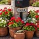 Mailbox Flower Bed Ideas