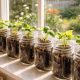 Mason Jar Garden Decor Ideas You Can DIY This Weekend