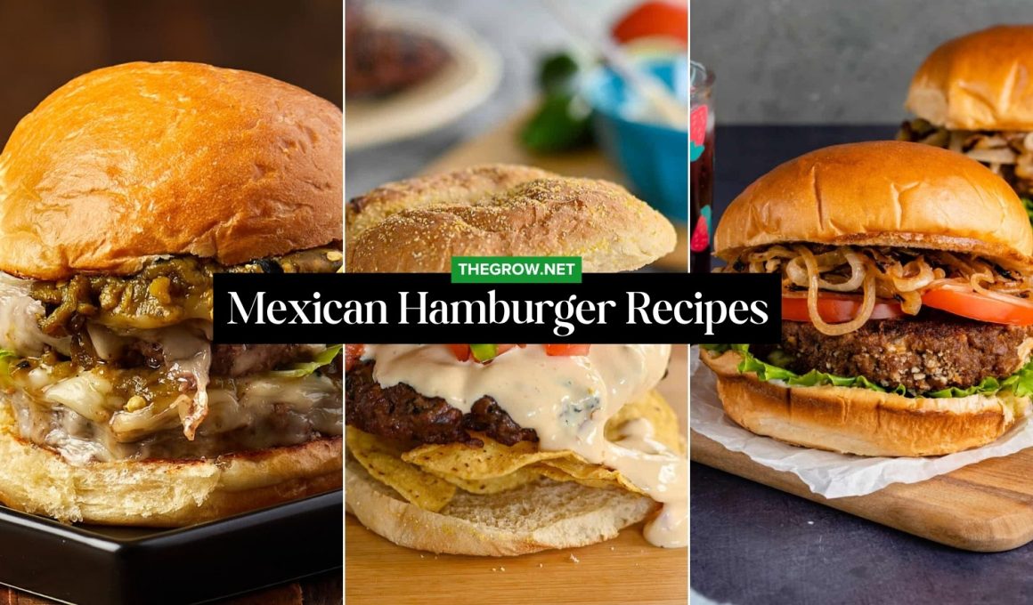 Mexican Hamburger Recipes