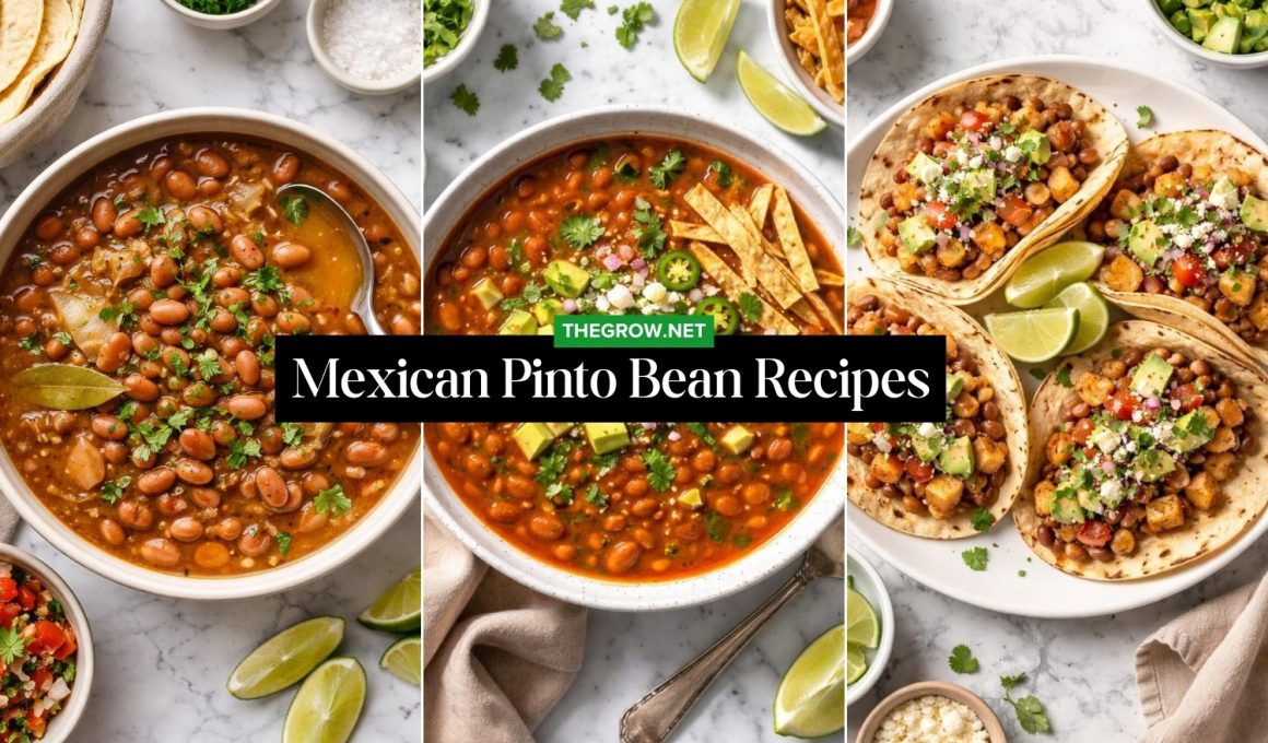 Mexican Pinto Bean Recipes