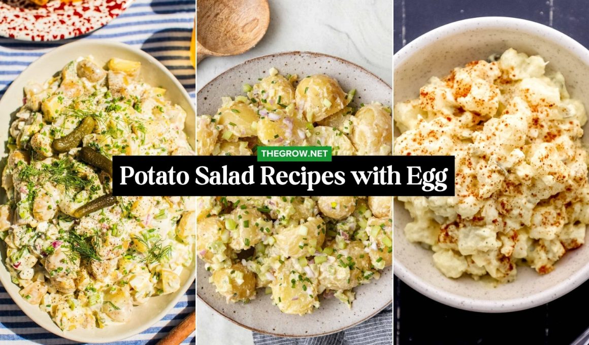 Potato Salad Recipes with Egg