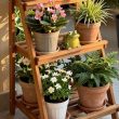 Scrap Wood Garden Project Ideas That Look Expensive
