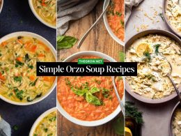 Simple Orzo Soup Recipes