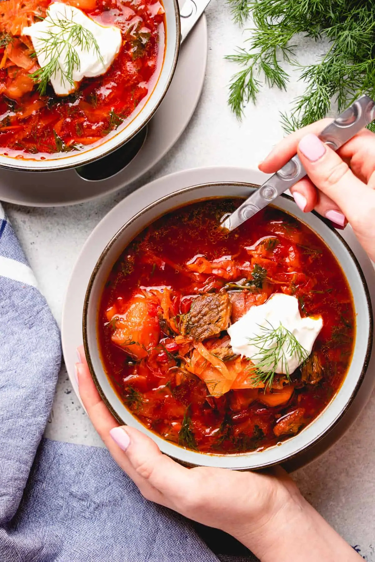 Clear Beef Borscht (Borshch Chystyj)