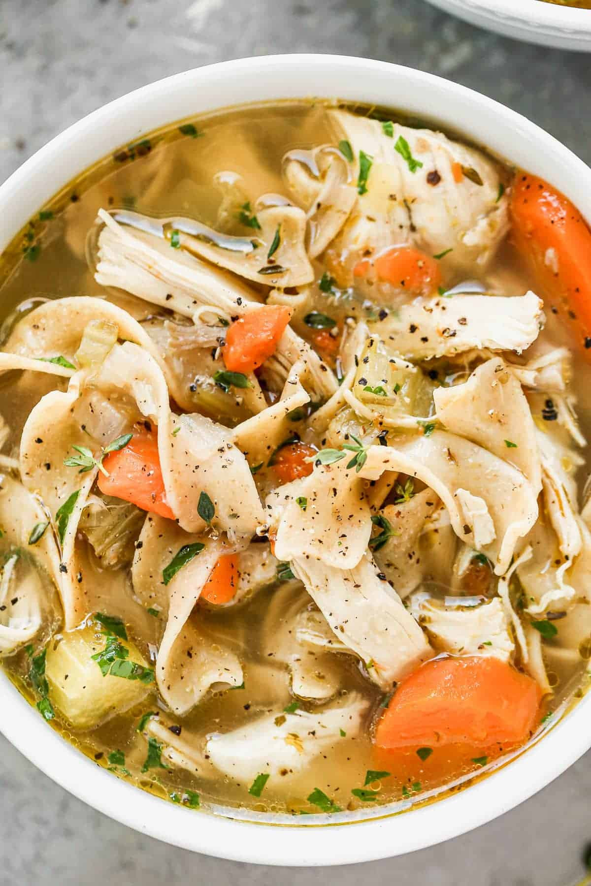 Instant Pot Chicken Noodle Soup