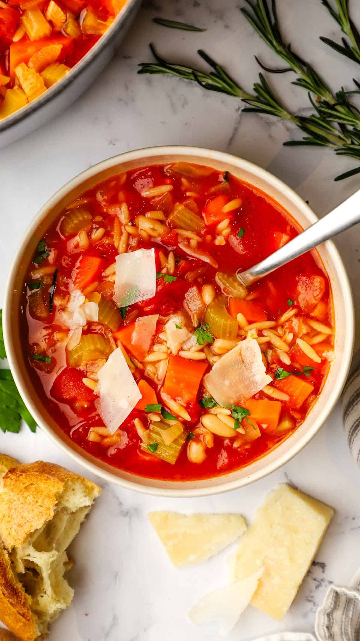 Orzo Minestrone