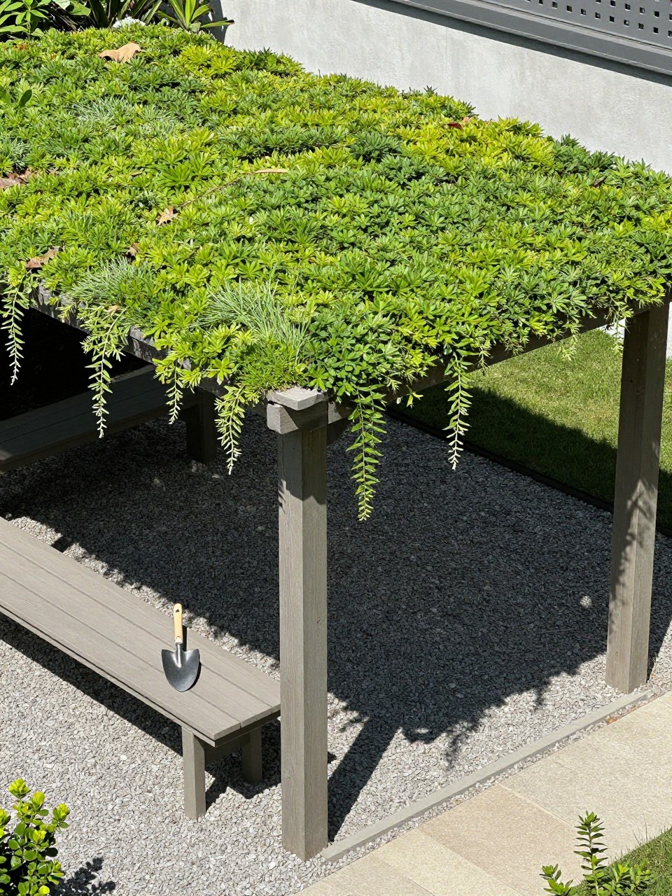 Photo of a pergola with a green sedum roof and trailing edges, corner angle view, setting in a modern garden with gravel, bright midday light, containing a small trowel on a nearby bench, iPhone photo quality.