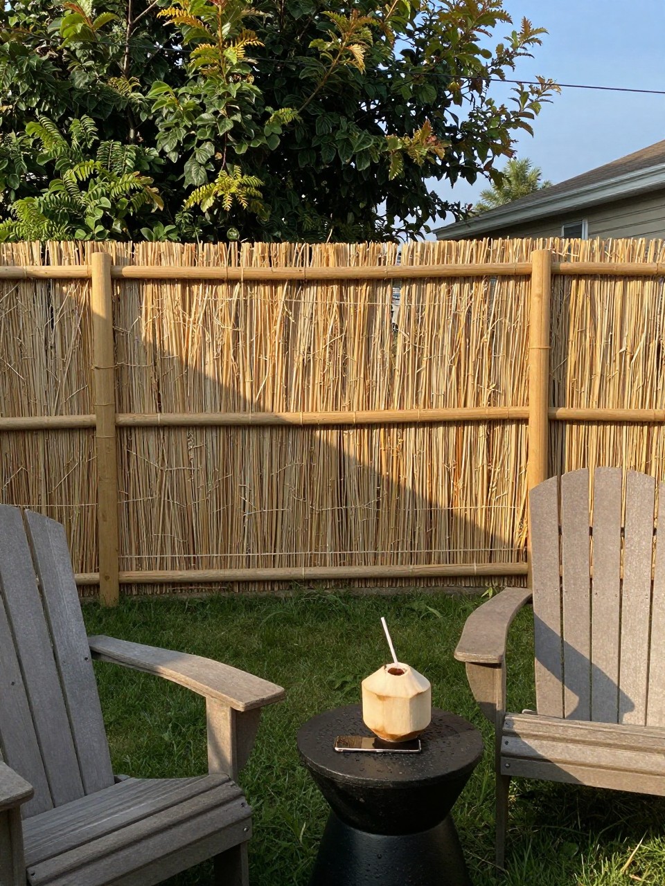 Photo of a backyard with rolled reed fencing along the property line, straight-on view, setting in a casual seating area with Adirondack chairs, late afternoon sun, containing a half-empty coconut drink on a side table, iPhone photo quality.