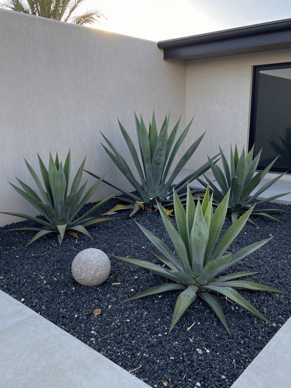 Photo of a cluster of agave plants surrounded by dark gravel, corner angle view, setting in a modern desert front yard, morning light, containing a small stone sphere among the rocks, iPhone photo quality.