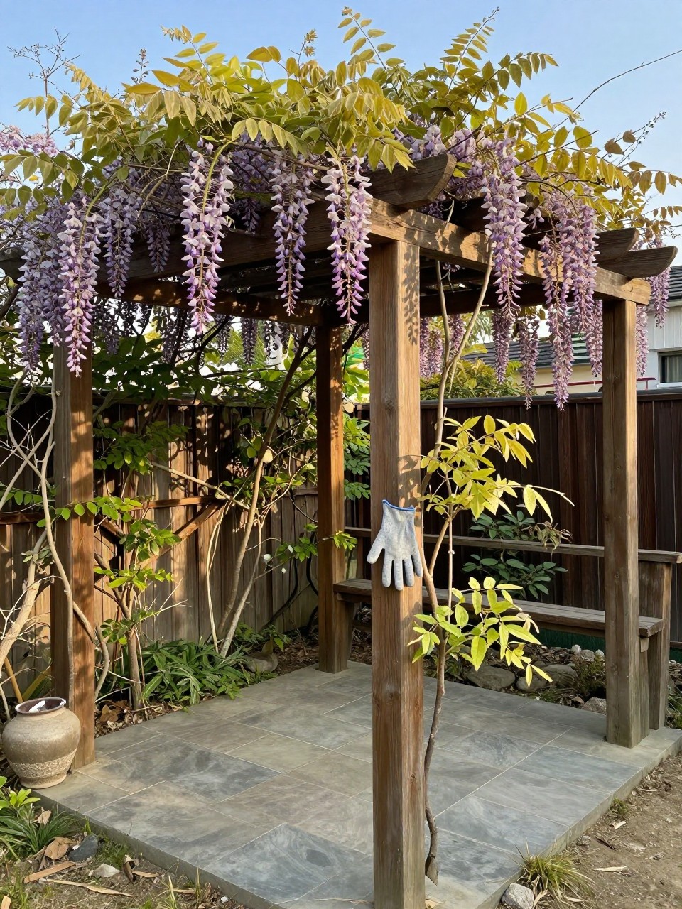 Photo of a wooden pergola covered in flowering wisteria vines, corner angle view, setting in a small garden with flagstone floor, late afternoon light, containing a garden glove hanging on a post, iPhone photo quality.