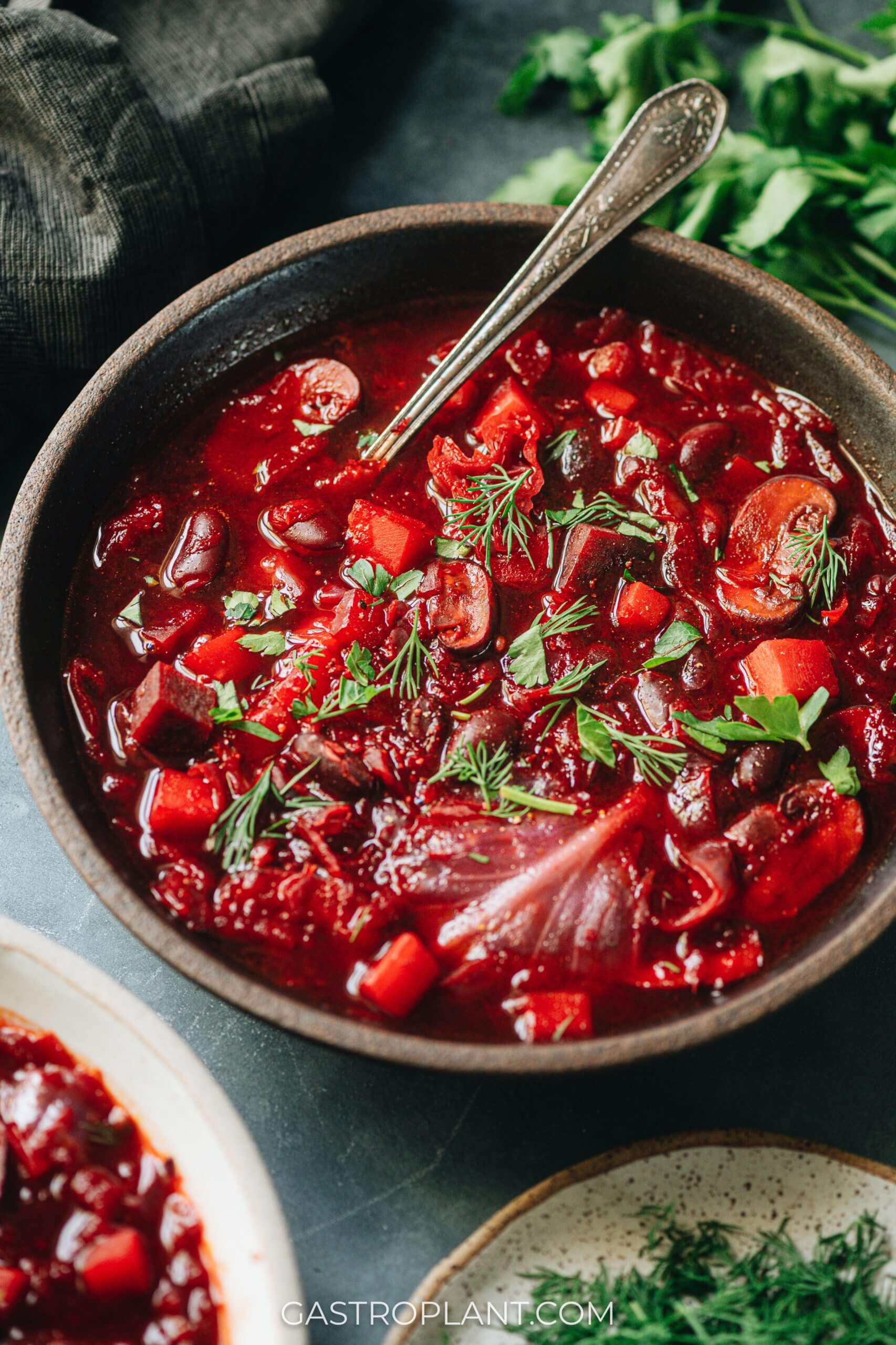 Simple Vegetarian Borscht