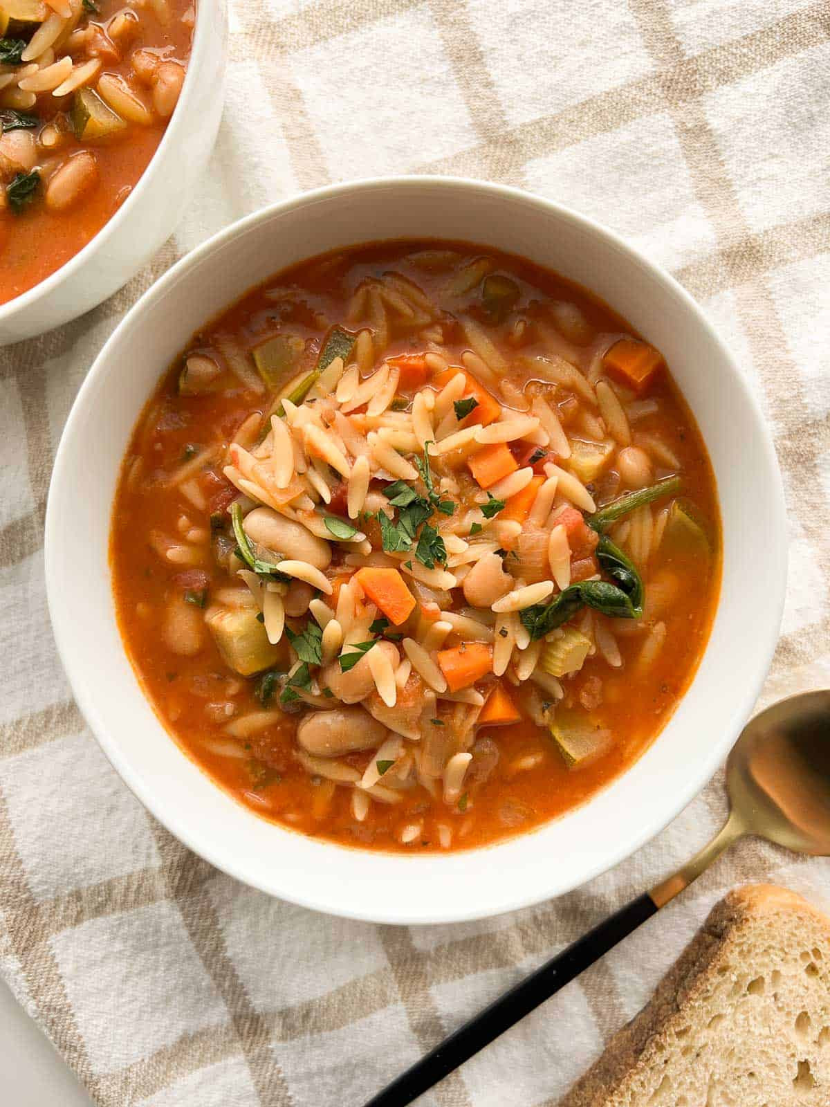 Vegetable Orzo Soup