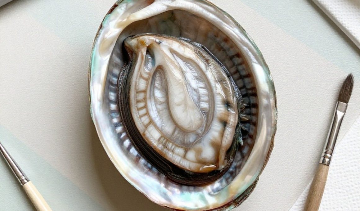 Amazing Abalone Shell Crafts to Make Now