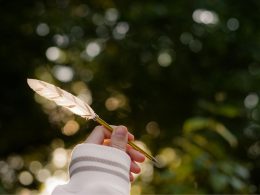 Beautiful Paper Quilling Craft Ideas