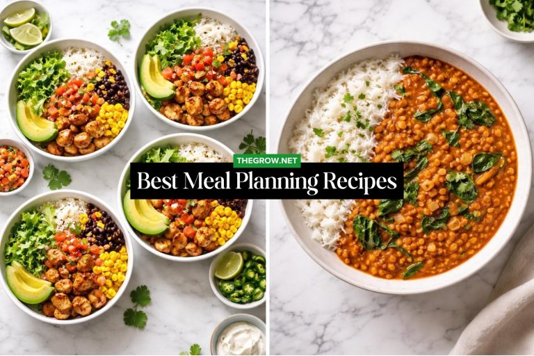 Best Meal Planning Recipes
