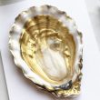 Best Oyster Shell Crafts to Make Today