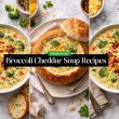 Broccoli Cheddar Soup Recipes0