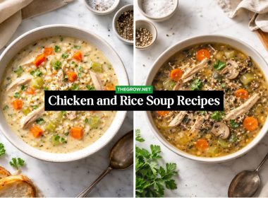 Chicken and Rice Soup Recipes