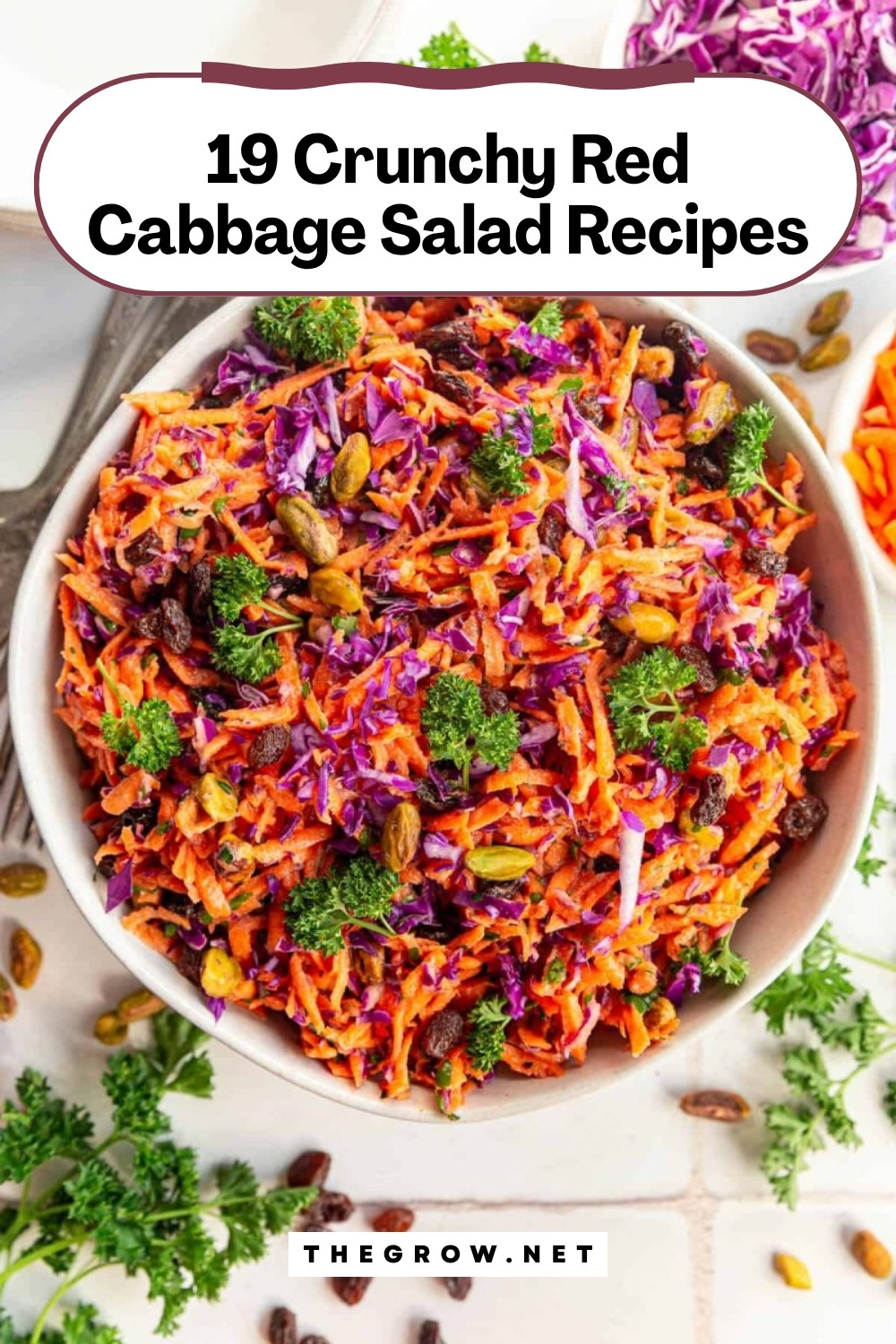 Crunchy Red Cabbage Salad Recipes