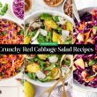 Crunchy Red Cabbage Salad Recipes