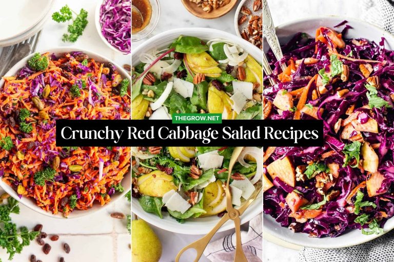 Crunchy Red Cabbage Salad Recipes