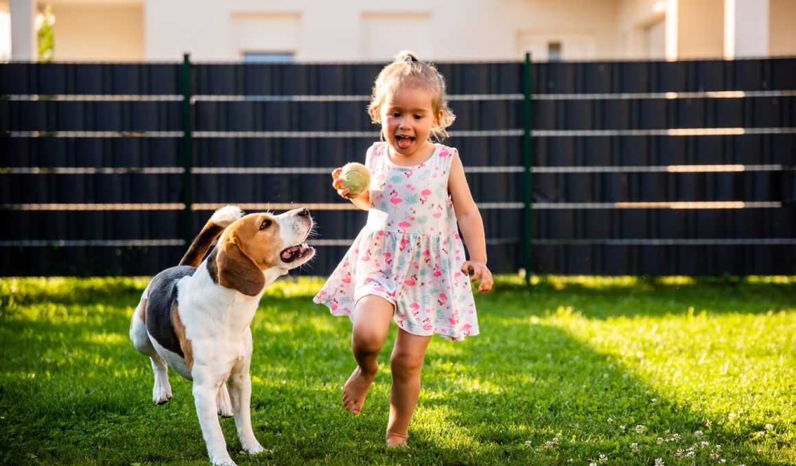 Dog Run Backyard Design Ideas