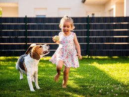 Dog Run Backyard Design Ideas