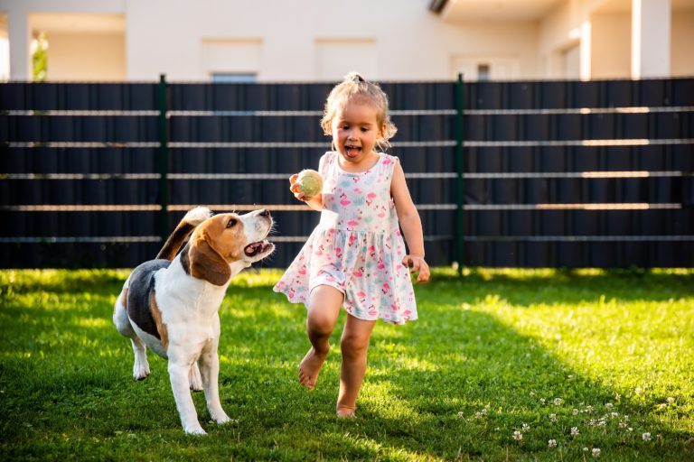 Dog Run Backyard Design Ideas