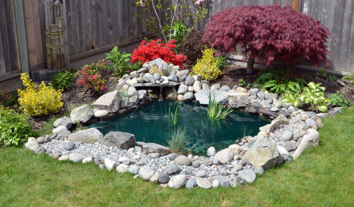 Dreamy Backyard Pond Ideas