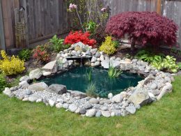Dreamy Backyard Pond Ideas