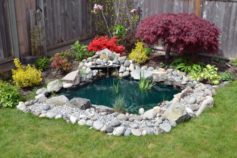 Dreamy Backyard Pond Ideas