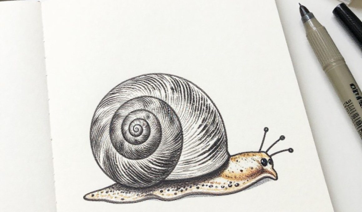 Easy Snail Shell Crafts to Boost Creativity
