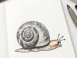 Easy Snail Shell Crafts to Boost Creativity