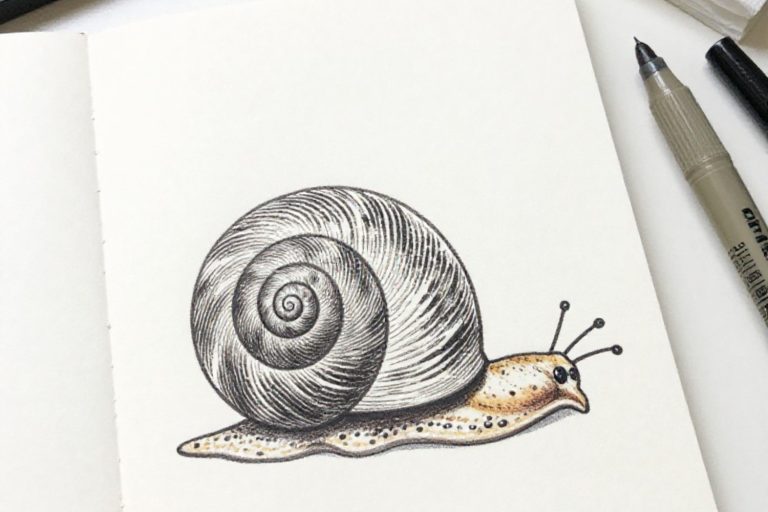 Easy Snail Shell Crafts to Boost Creativity