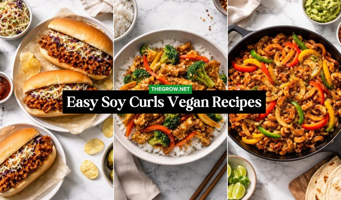 Easy Soy Curls Vegan Recipes