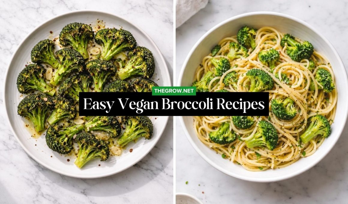 Easy Vegan Broccoli Recipes