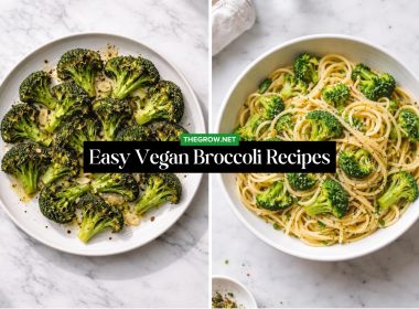 Easy Vegan Broccoli Recipes