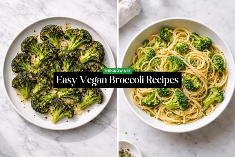 Easy Vegan Broccoli Recipes