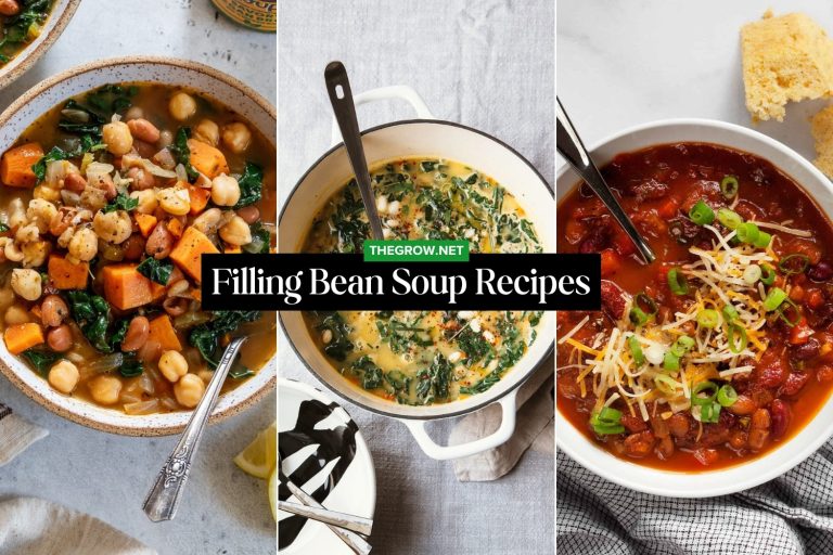 Filling Bean Soup Recipes