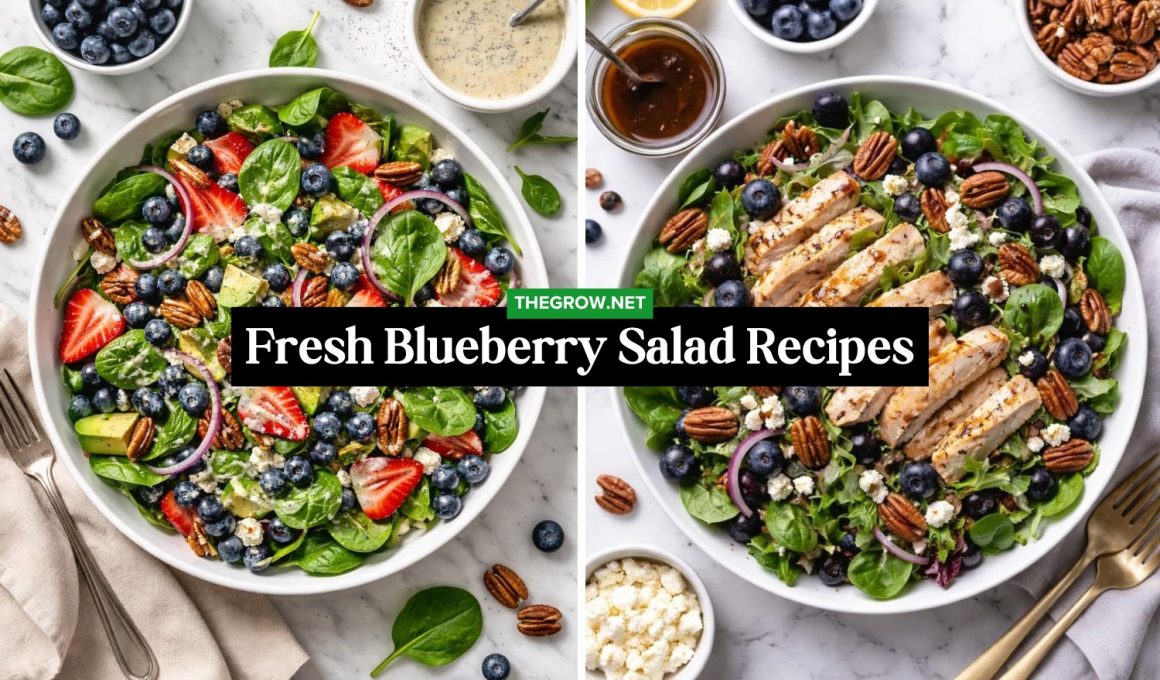 Fresh Blueberry Salad Recipes